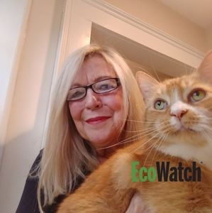 Meet your Posher, Joyce